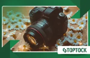 Never Worry About Lost Files Again: Dumpster – Your Ultimate Android Rescue App