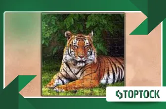 Jigsaw Puzzles Epic: Recreate Pictures by Placing Sticks One Piece at a Time